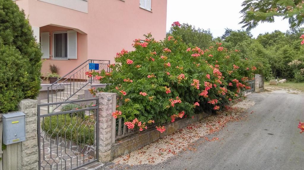 Rina Apartments Labin  Exteriör bild
